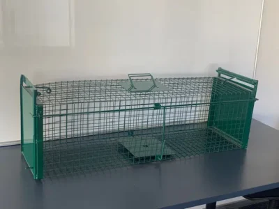 Wire live capture cage