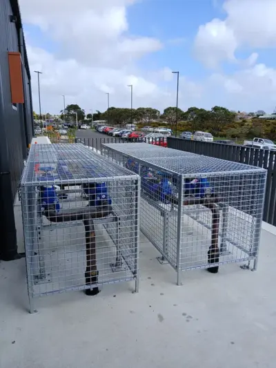 Backflow cages made in nz